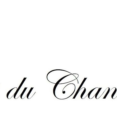 Logis Du Chandelier Le Puy-en-Velay Bagian luar foto